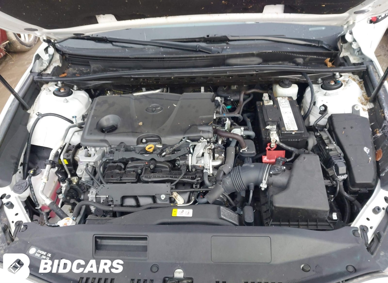2019 II Toyota Camry SE