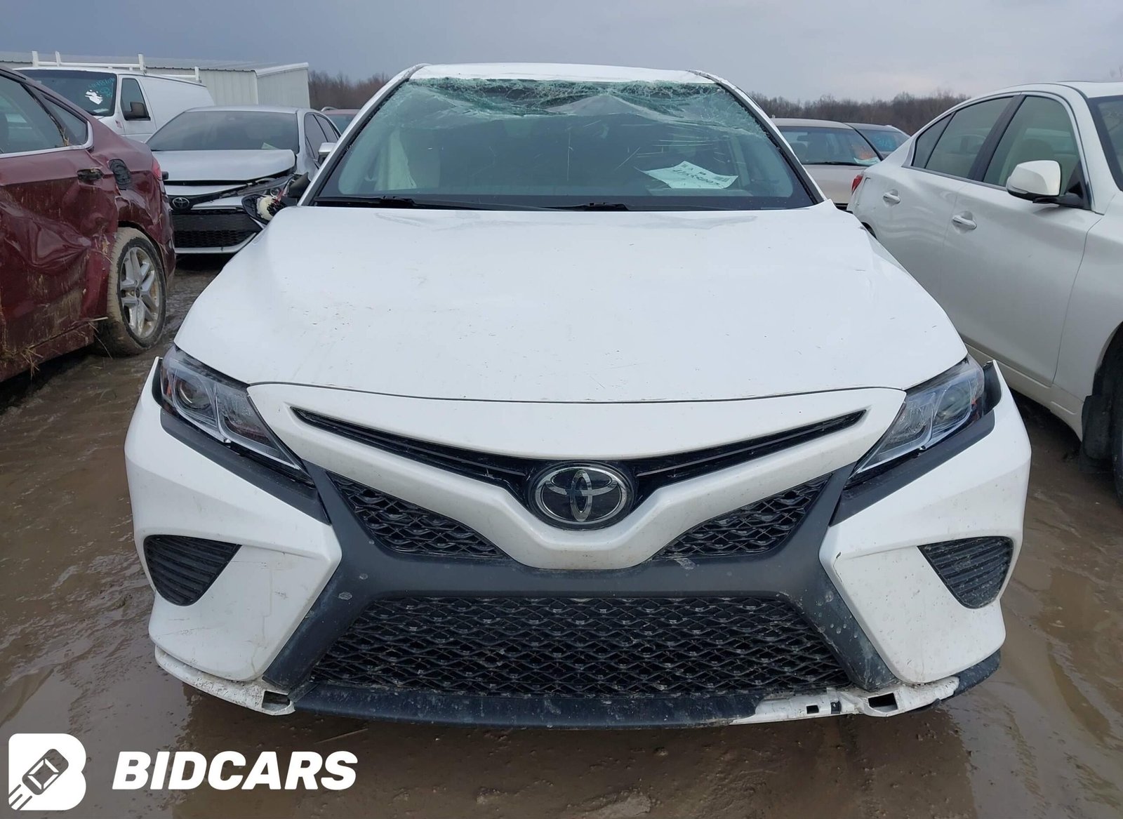 2019 II Toyota Camry SE