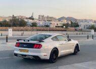 2017 II Ford Mustang GT